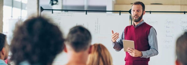A New Model for Coaches; a Systemic Approach