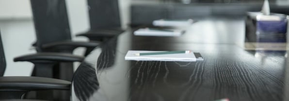 What is the Directors Development Programme Accelerator?