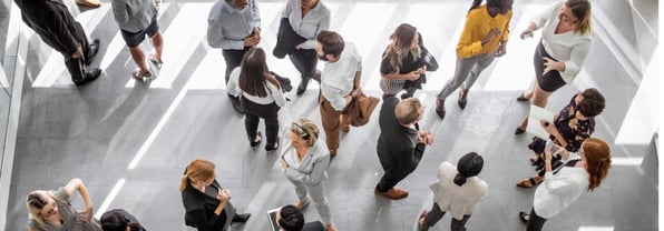 So, what is diversity and inclusion all about?