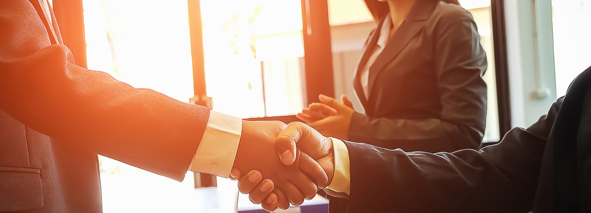 director-development-programme-blog